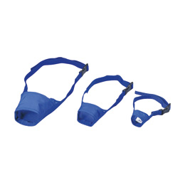 ���p�@����