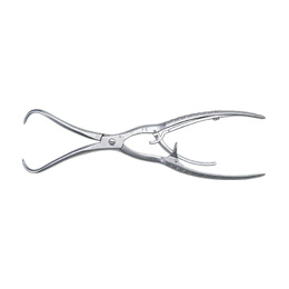 ����q �����p��q �|�C���g�t