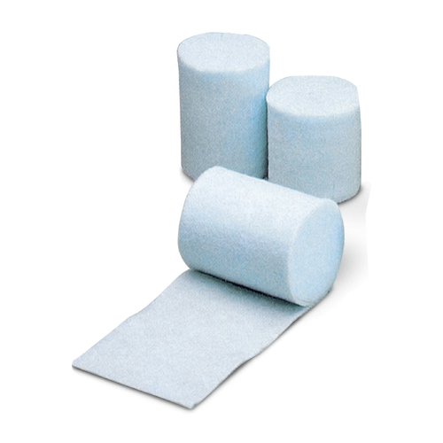 �L���X�g�p�b�h �v���X