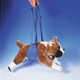 �N�C�b�N���t�g