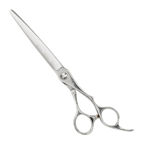 �V�U�[ �A�[�g�V���[�Y