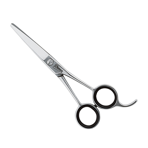 �V�U�[ �h���[���X�e�����X