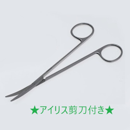 ���b�c�F���o�[���E�t�B�m����