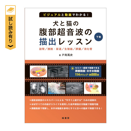 �r�W���A���Ɠ���ł킩��I ���ƔL�̕��������g�̕`�o���b�X�� ����