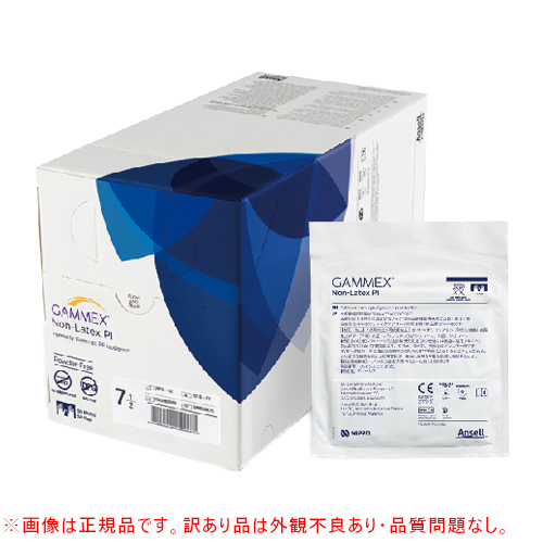 �y�O�ϕs�Ǖi�zGAMMEX PI