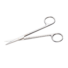 ���b�c�F���o�E�������i�G�[�X�N���b�v�j