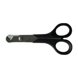 ���܃n�T�~