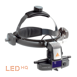 �Ҷ�500LED�o��|��������׸���