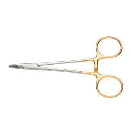 �`���w�K�[�����j��