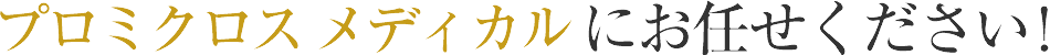 ȂY݂̕Av~NXfBJɂCI 